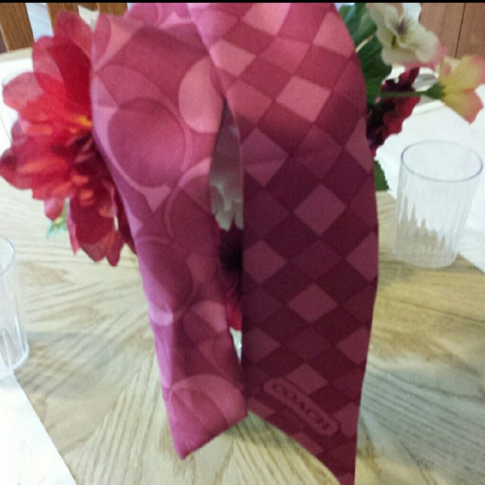 Coach ponytail scarf.